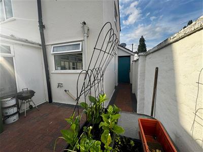 Picture 24